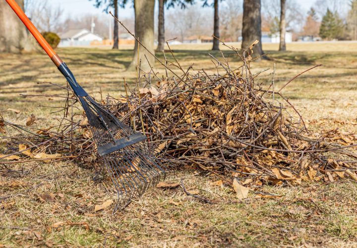 Tree branches and leaf rake in yard. Lawncare, lawn cleaning and branch pickup concept