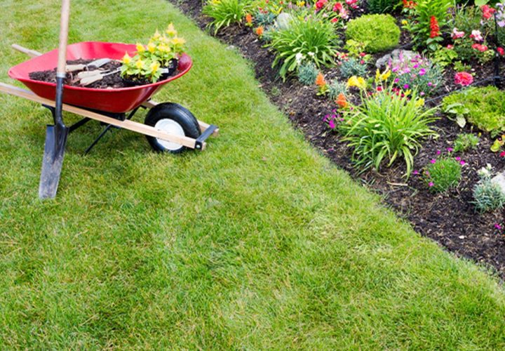 Header-_0161_Spring-Yard-Clean-Up-feature