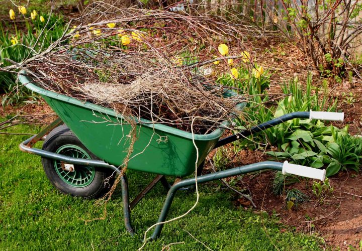 Spring-Cleanup-Northern-Kentucky-Mulch-Tree-Care